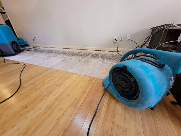 Professional Water Extraction technician working in Brookside, NJ